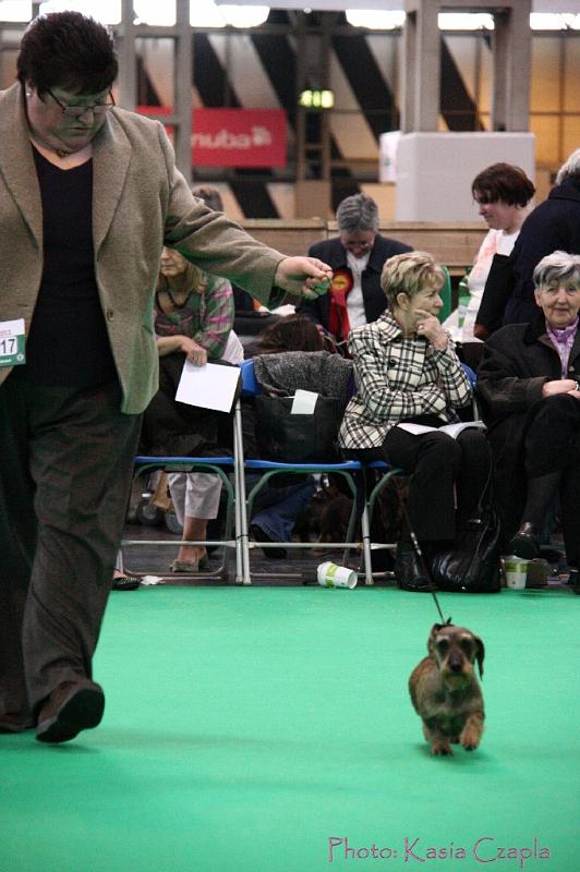 Crufts2011_2 1509.jpg